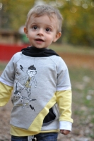 Sweatstoff French Terry Panel Skateboarder Stenzo, grau