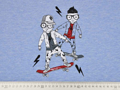 Sweatstoff French Terry Panel Skateboarder Stenzo, hellblau