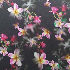 Jerseystoff Blumen asiatisch,pink rot schwarz