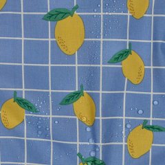 Wasserabweisender Baumwollstoff Zitronen Meterware – beschichtet, Himmelblau