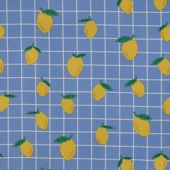 Wasserabweisender Baumwollstoff Zitronen Meterware – beschichtet, Himmelblau