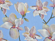 EINZELST�CK 114 cm Blusenstoff Digitaldruck Magnolien, hellblau