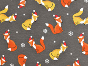 Jersey Weihnachtsf�chse, taupe